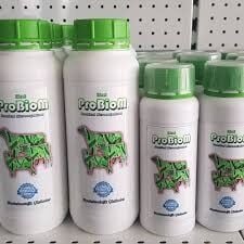 Probiom Liquid 1 Lt