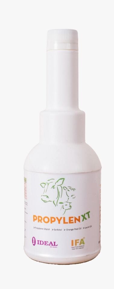 Propylen Xt Liquid 500 Gr