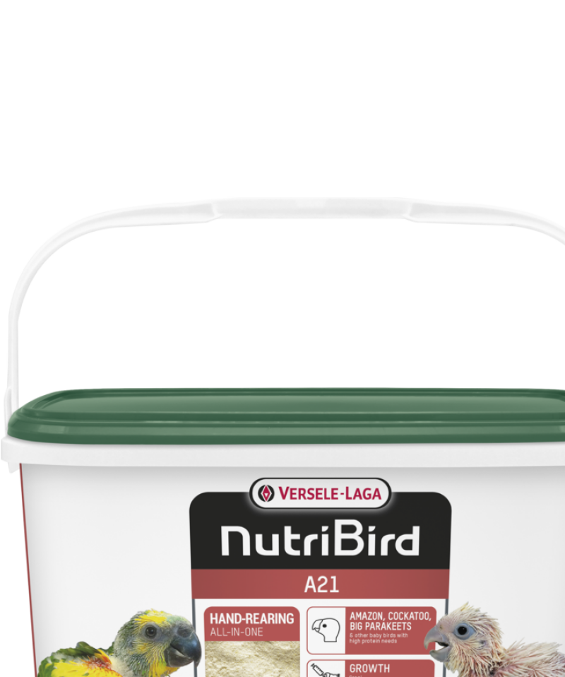 Nutrıbırd A21 Elle Yetiştirme Maması 3kg