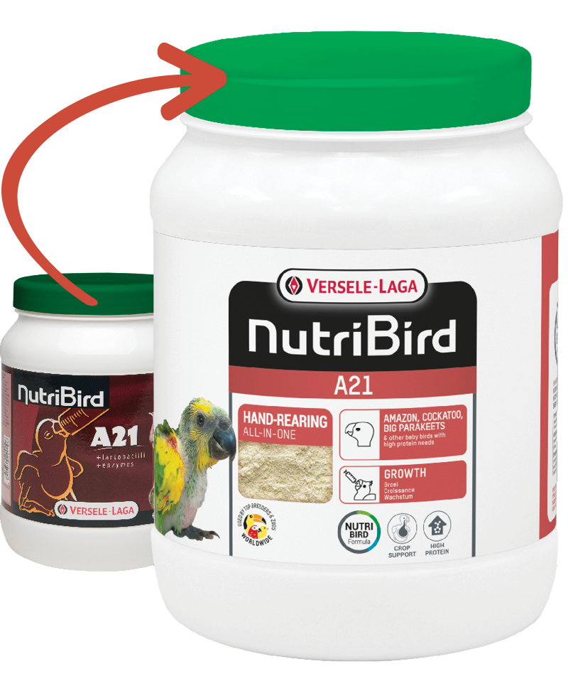 Nutrıbırd A21 Elle Yetiştirme Maması 800g