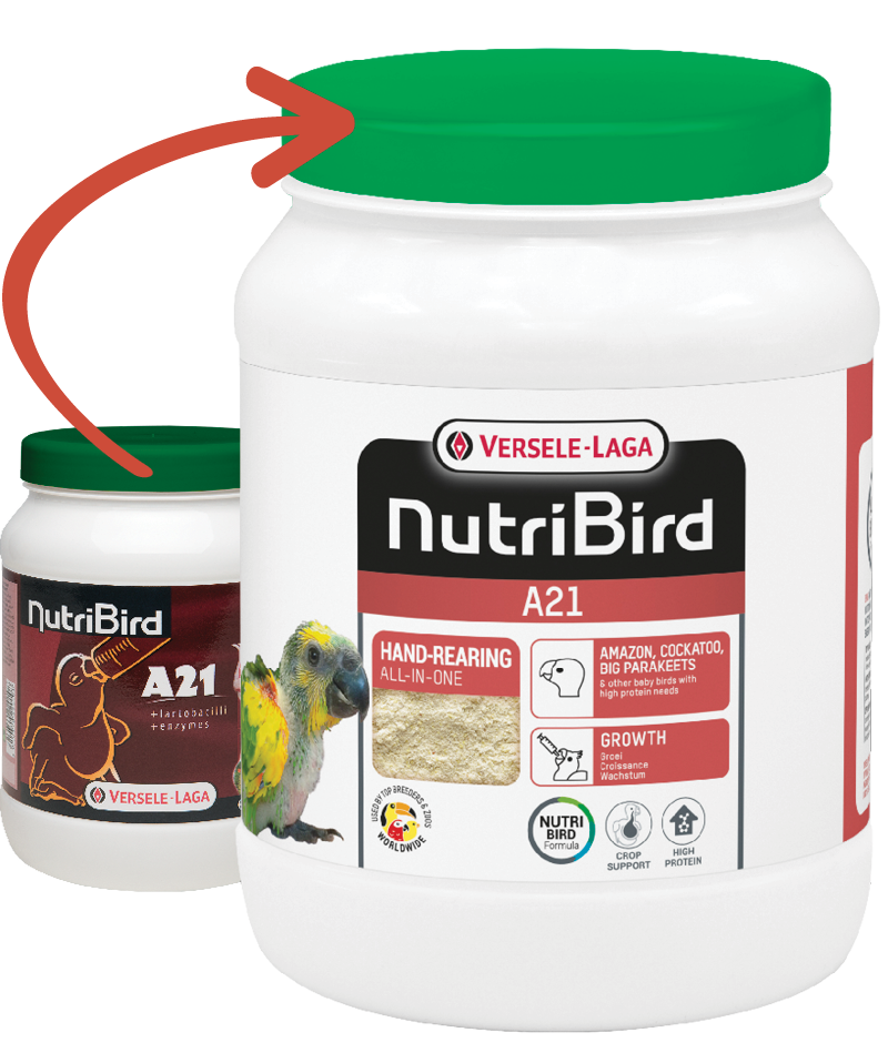Nutrıbırd A21 Elle Yetiştirme Maması 800g