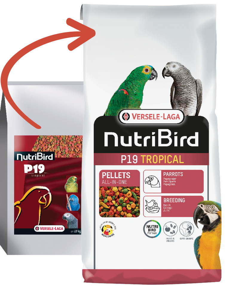 Versele Laga Nutrıbırd P19 Tropıcal 10kg