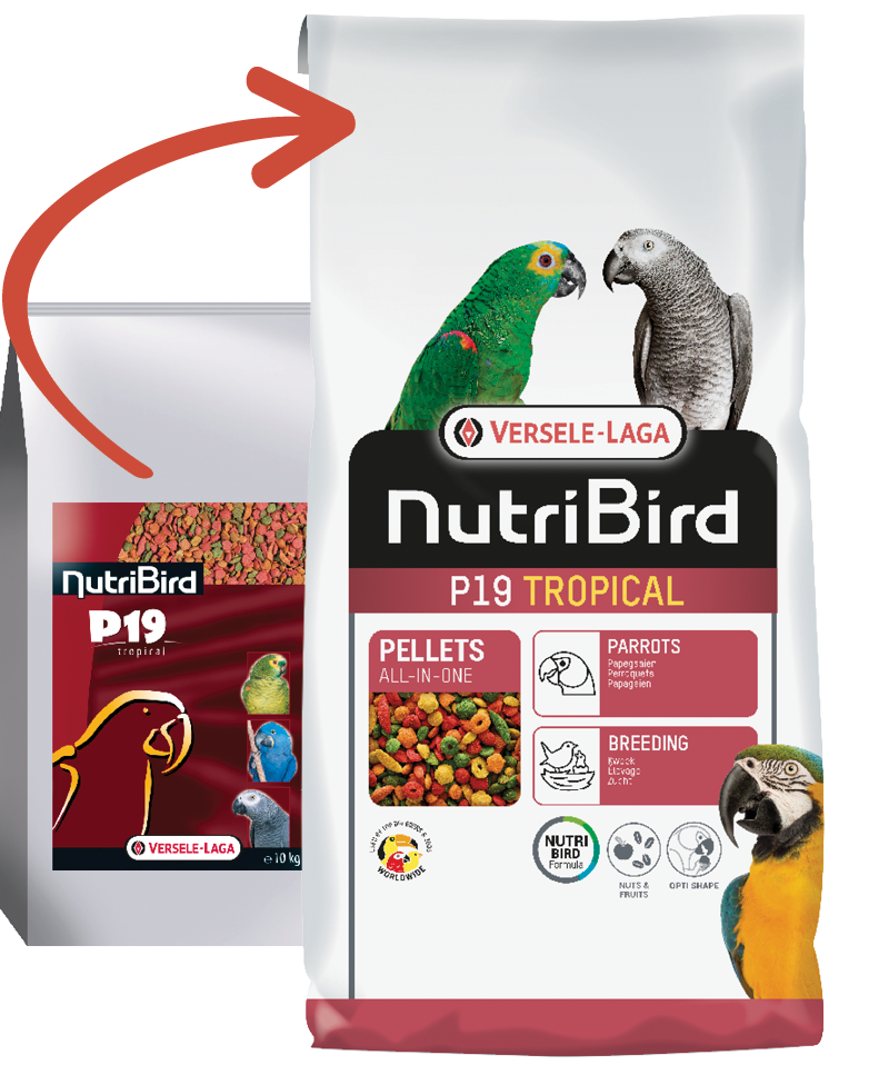 Versele Laga Nutrıbırd P19 Tropıcal 10kg