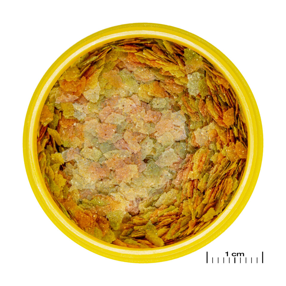 Jbl Pronovo Betta Flakes S 100ml