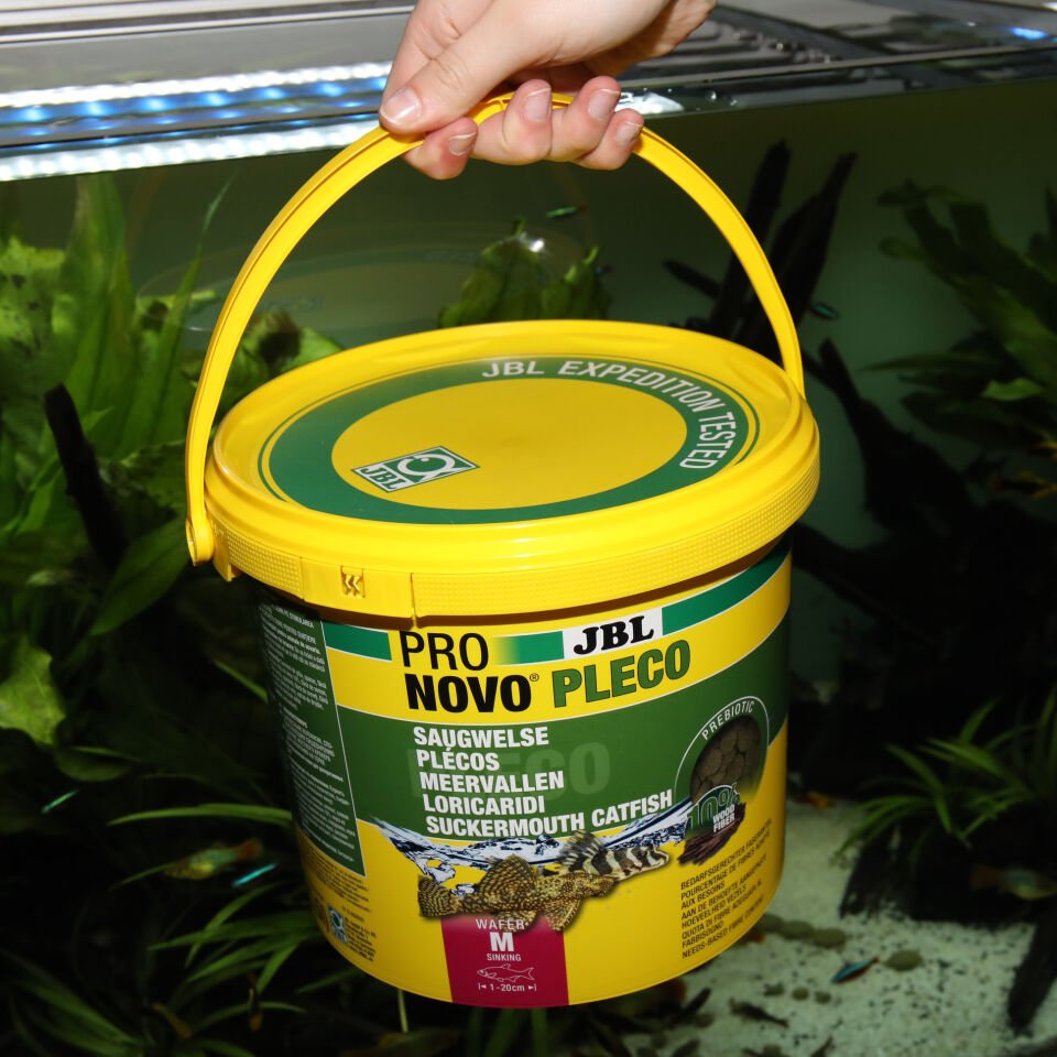 Jbl Pronovo Pleco Wafer M 5,5l