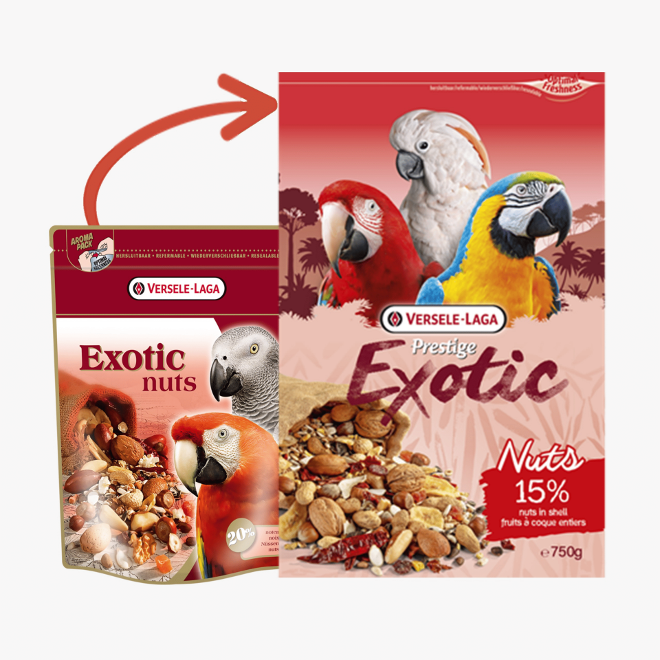 Verselelaga  Exotic Nuts 750 G.