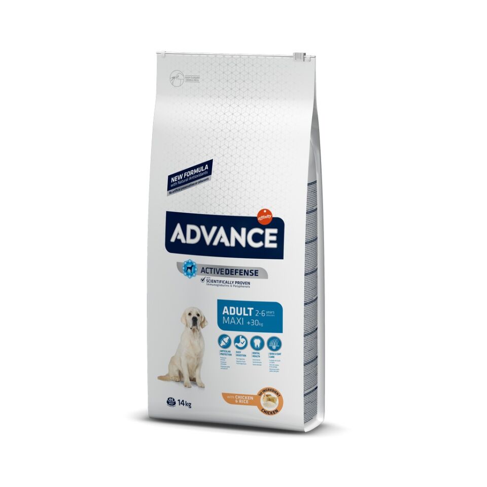 Advance Dog Maxı Adult 14 Kg