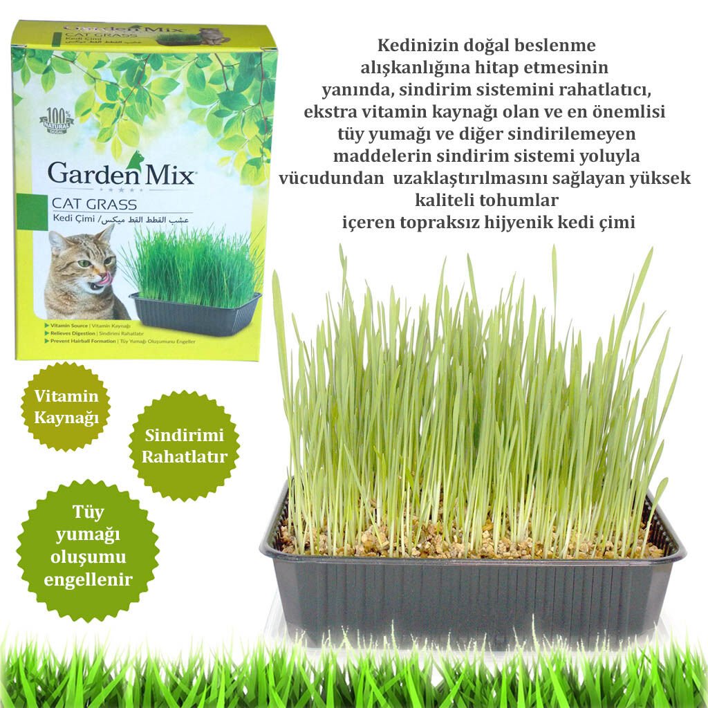 Gardenmix Kedi Çimi