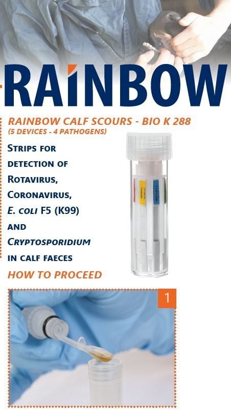 RAİNBOW İSHAL KİTİ 5X5 TEST