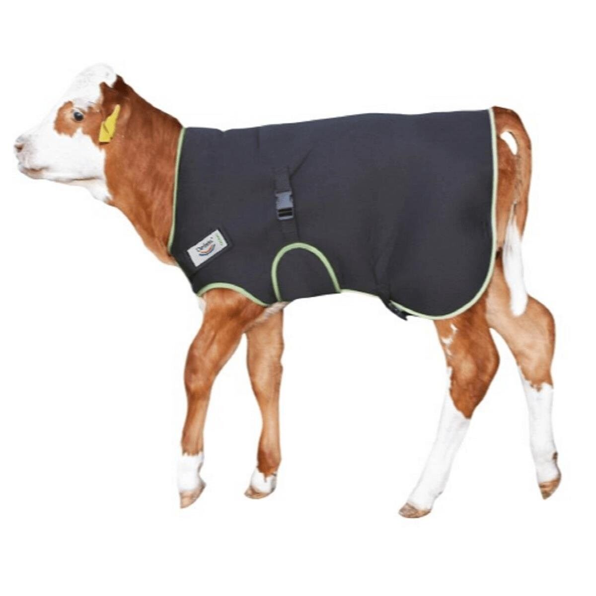 Dedeks Buzağı Battaniyesi 80 cm