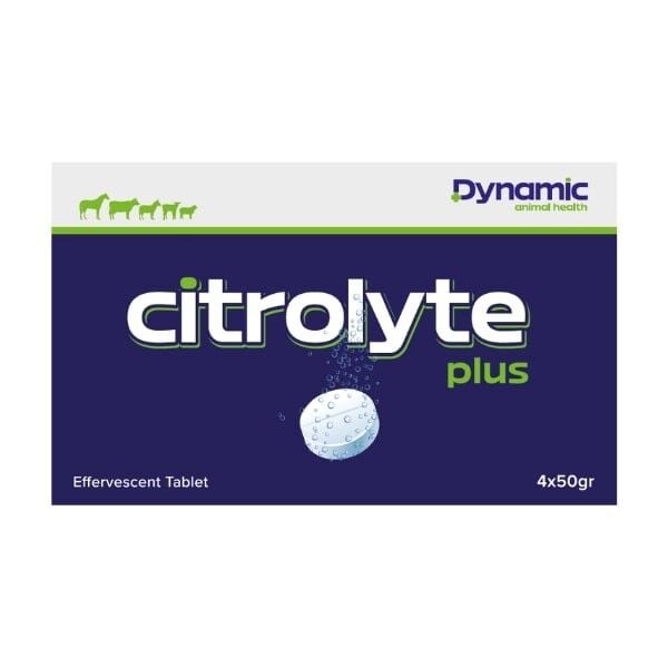 CITROLYTE PLUS 4X50 GR TABLET PREMİKS