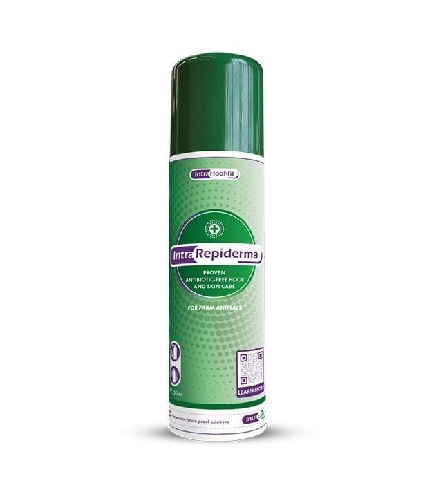 REPIDERMA SPRAY 250 ML