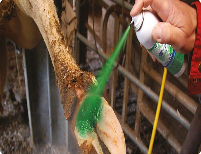 REPIDERMA SPRAY 250 ML