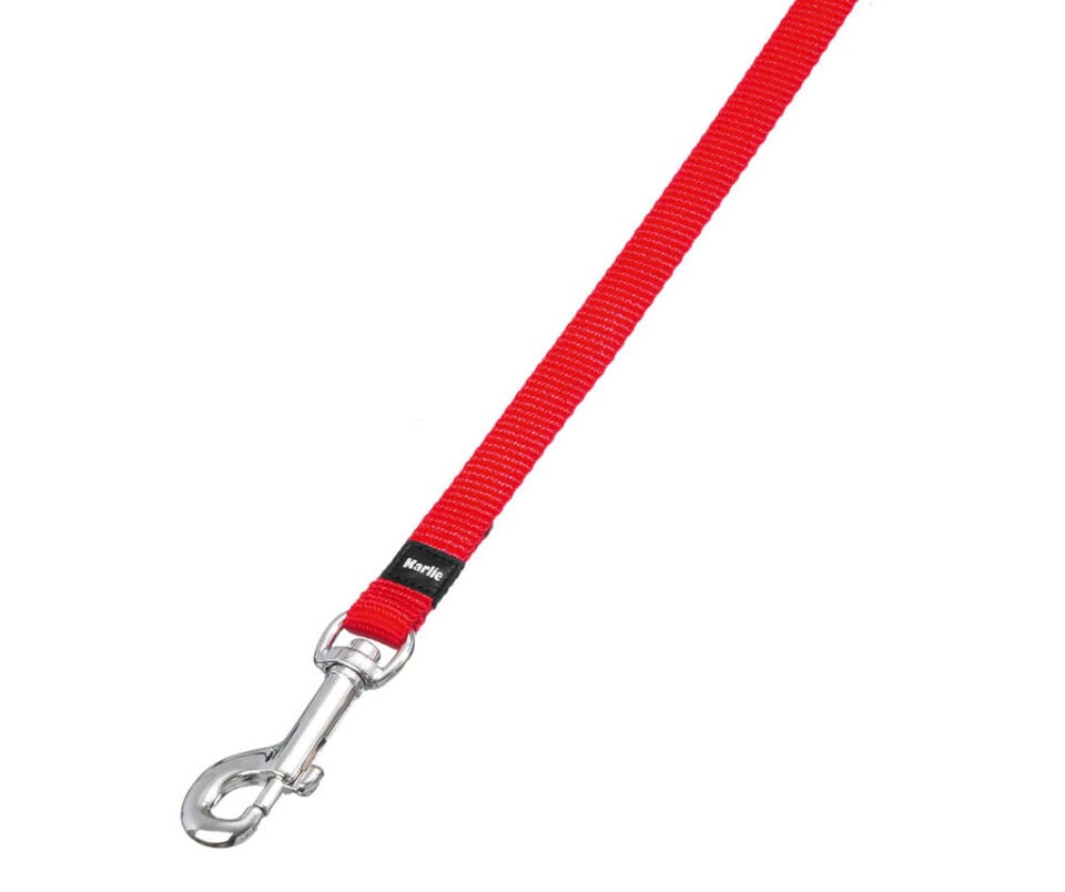 Karlıe Uzatma Tasma L/xl 100 Cm-25mm Kırmızı
